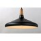 Maxim Lighting Nordic 1-Light 15.25" Wide Walnut / Black Pendant Light 11354WNBK - alternate 2